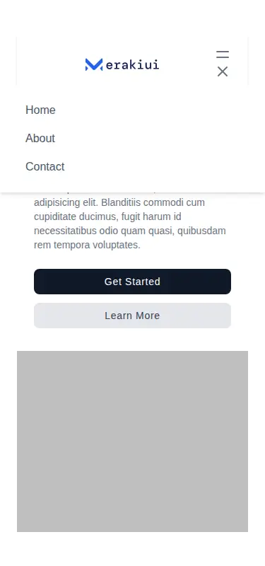 Harness screenshot of meraki-hero-side-image at 375 pixels wide