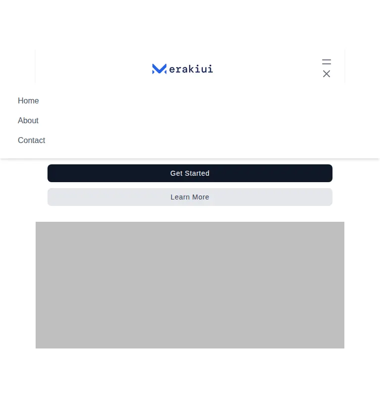 Harness screenshot of meraki-hero-side-image at 768 pixels wide