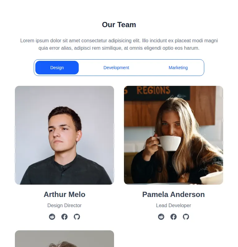 Harness screenshot of meraki-team-filter at 768 pixels wide