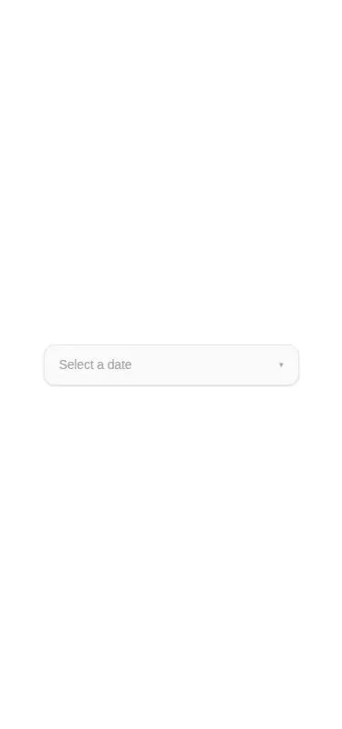 Harness screenshot of ruixen-chrono-select at 375 pixels wide