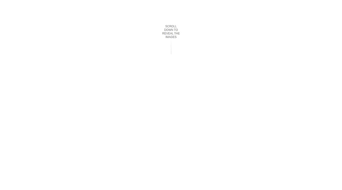 Harness screenshot of ruixen-scroll-image-tunnel at 1440 pixels wide