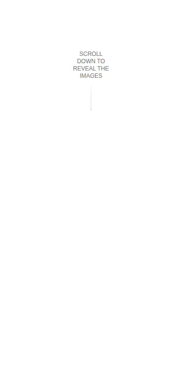 Harness screenshot of ruixen-scroll-image-tunnel at 375 pixels wide