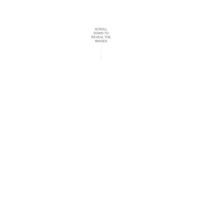 Harness screenshot of ruixen-scroll-image-tunnel at 768 pixels wide